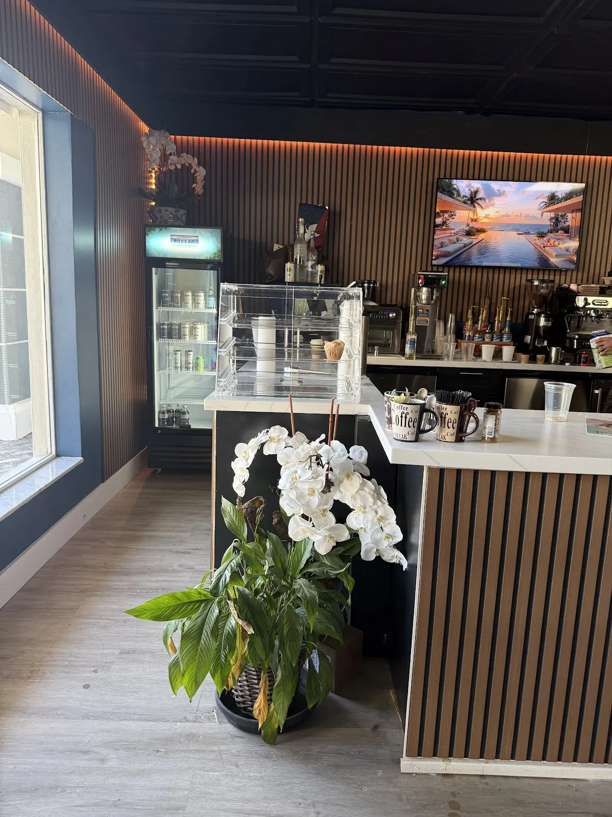 Cafe Louis Coffee & Espresso Bar in Boca Raton